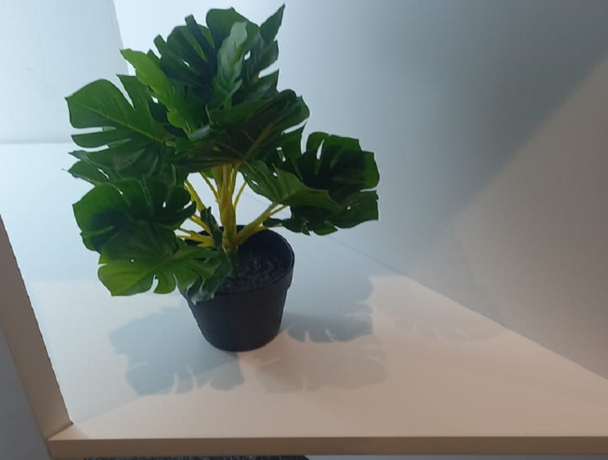 Greenscape Creation